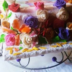 Meet your Posher, Stella